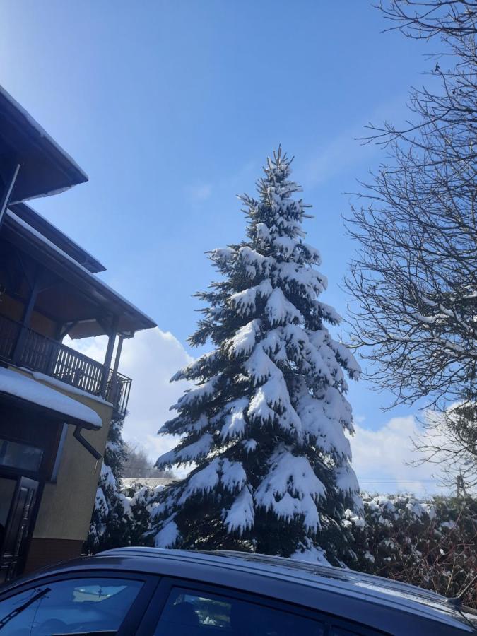 Apartament Naleczow Dom Pod Orzechami Esterno foto